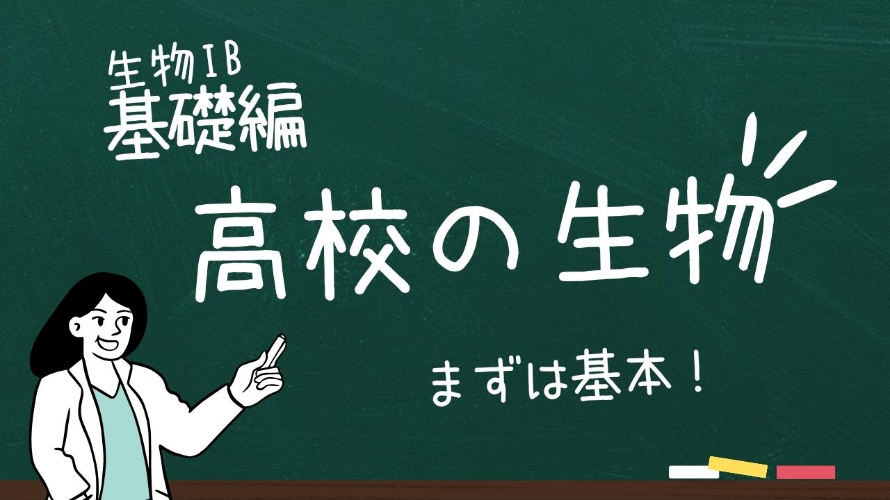 科目画像